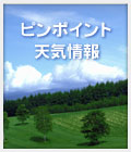 お天気情報